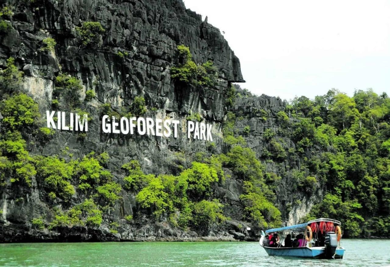 Mangrove Tour Langkawi: Jelajahi Hutan Mangrove yang Menakjubkan